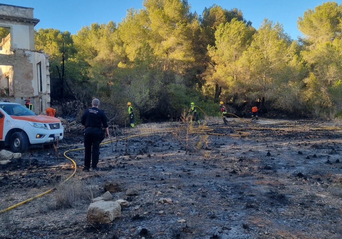 Zona afectada por el fuego, con efectivos antiincendios junto a los pinos.