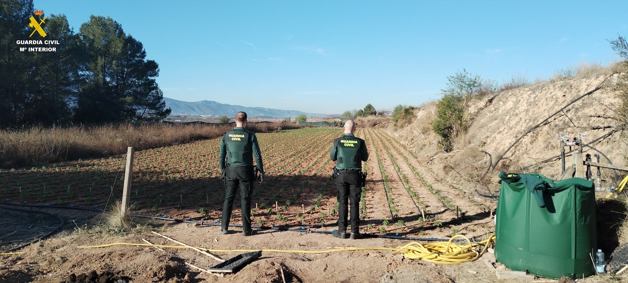 Dos agentes de la Guardia Civil ante la plantación de marihuana.