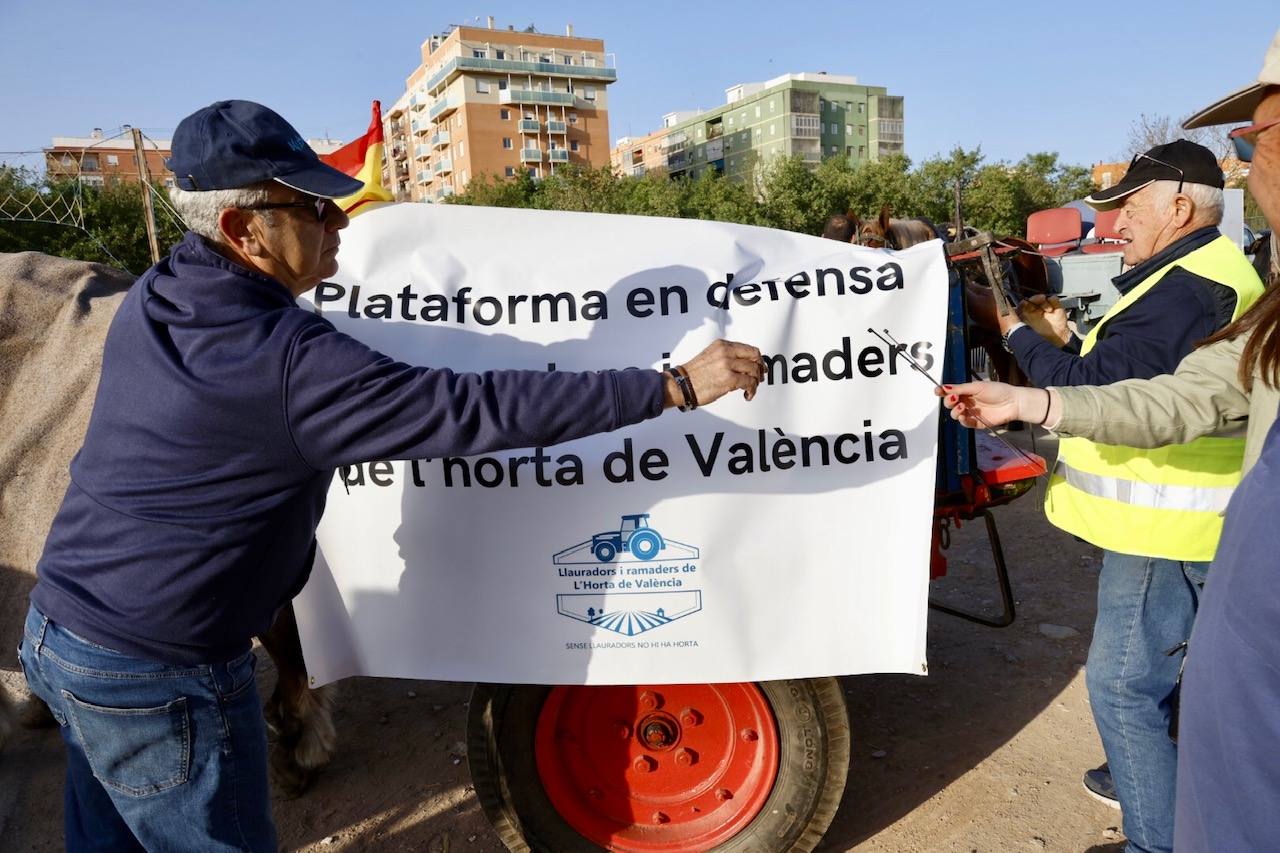 Agricultores y ganaderos marchan por las calles de Valencia con caballos y carros, en imágenes