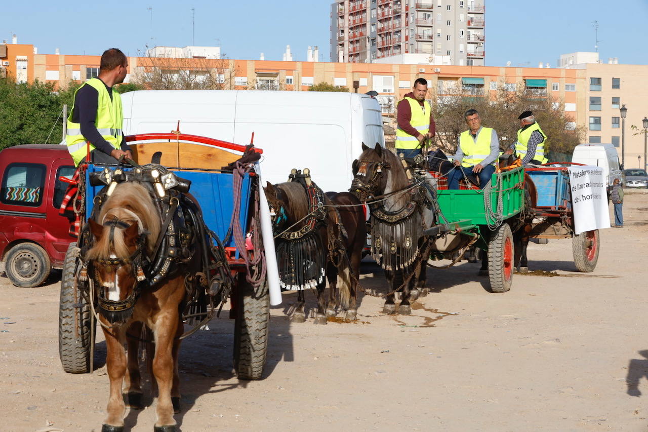 Agricultores y ganaderos marchan por las calles de Valencia con caballos y carros, en imágenes