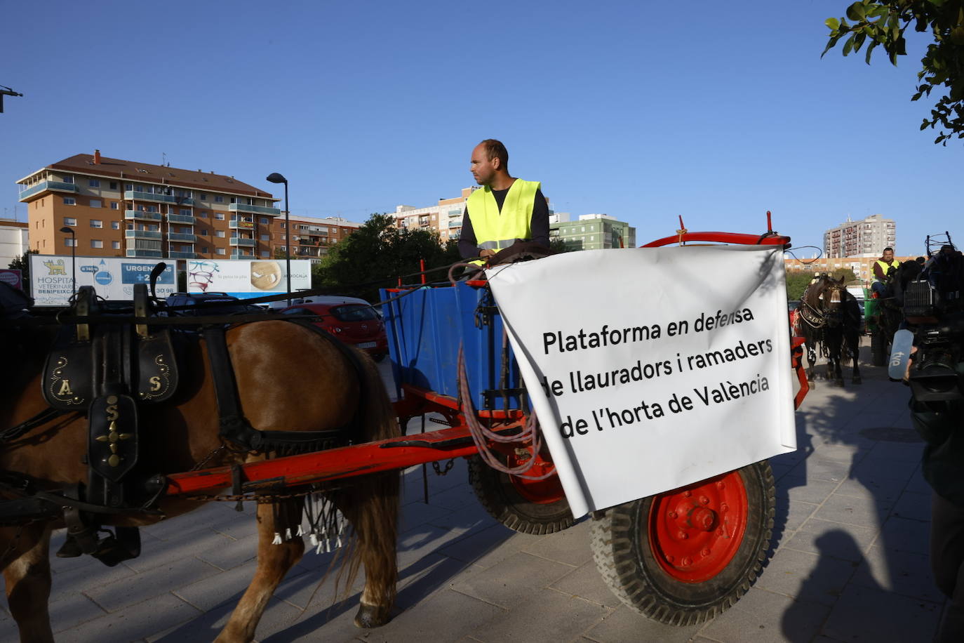 Agricultores y ganaderos marchan por las calles de Valencia con caballos y carros, en imágenes