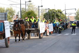 Agricultores y ganaderos marchan por las calles de Valencia con caballos y carros, en imágenes