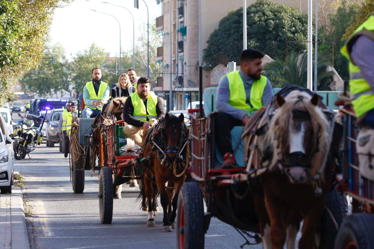 Agricultores y ganaderos marchan por las calles de Valencia con caballos y carros, en imágenes