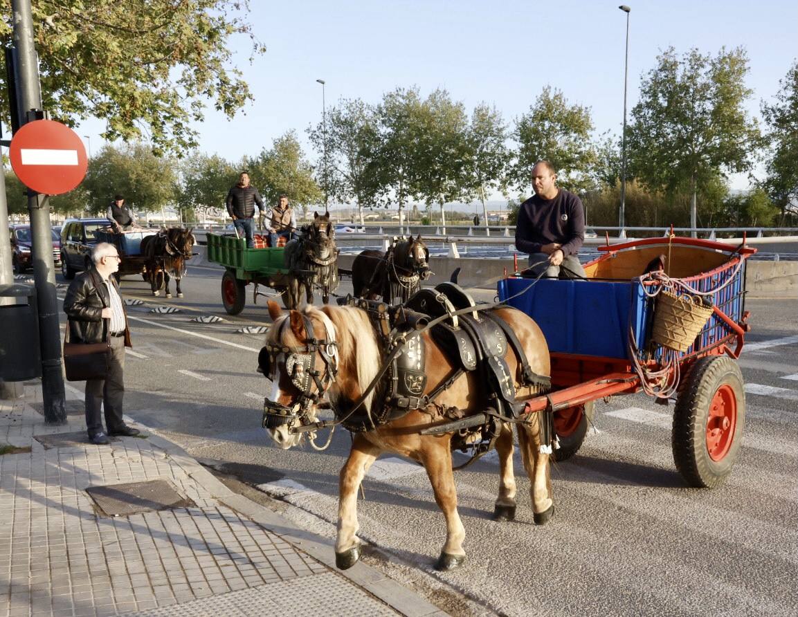 Agricultores y ganaderos marchan por las calles de Valencia con caballos y carros, en imágenes