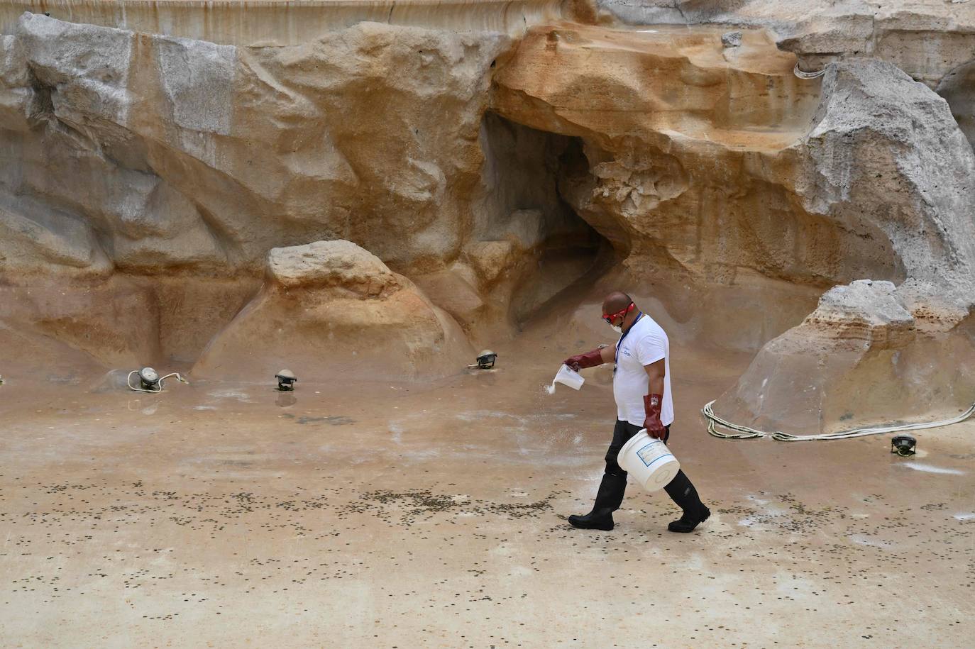 Así se limpia (y se recogen las monedas) de la Fontana de Trevi