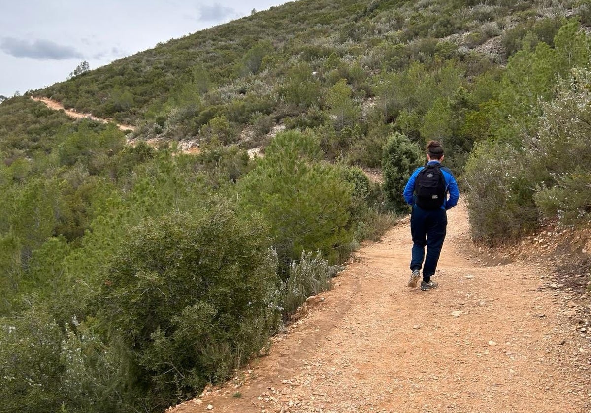 Un senderista, camino del castillo de Chirel.