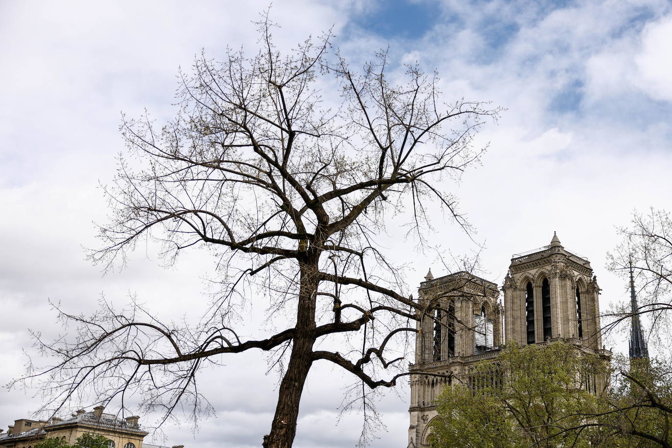 Notre-Dame prepara su reapertura tras el incendio