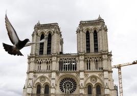 Notre-Dame prepara su reapertura tras el incendio