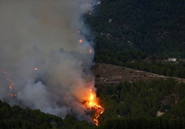 Vista del incendio de Tárbena.