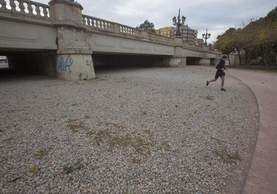 Zona donde se ubicará el nuevo estanque.