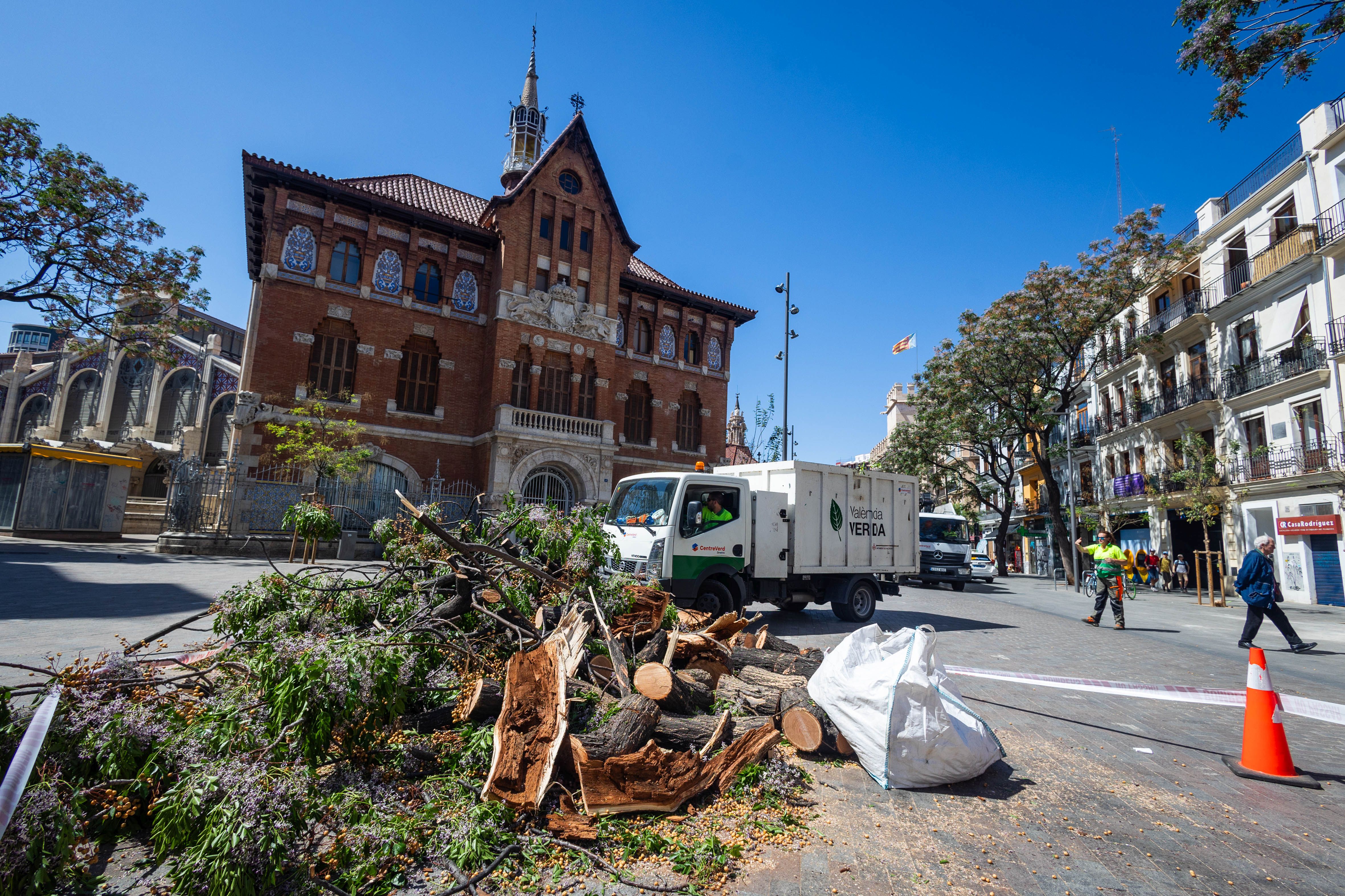 Cae un árbol en la plaza del Mercado de Valencia