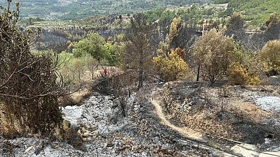 Las llamas del incendio de Tárbena dan paso a la desesperación: «Todo lo que tengo está en mi coche»
