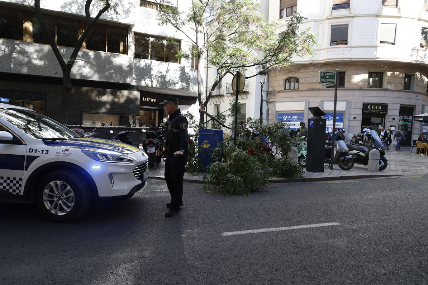 Cae una rama en la calle Poeta Querol de Valencia