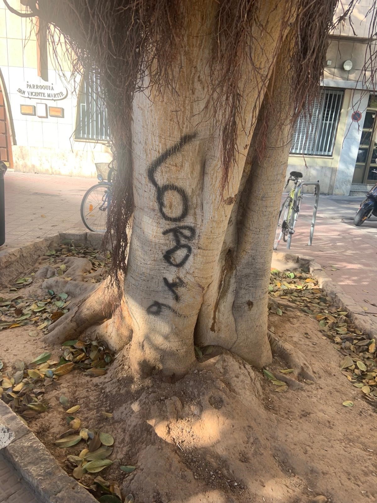 El ficus de plaza de España, con la pintada de 'Lord 16'.