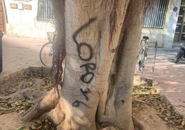 La pintada aparecida en el tronco del ficus atacado en la plaza de España de Valencia.