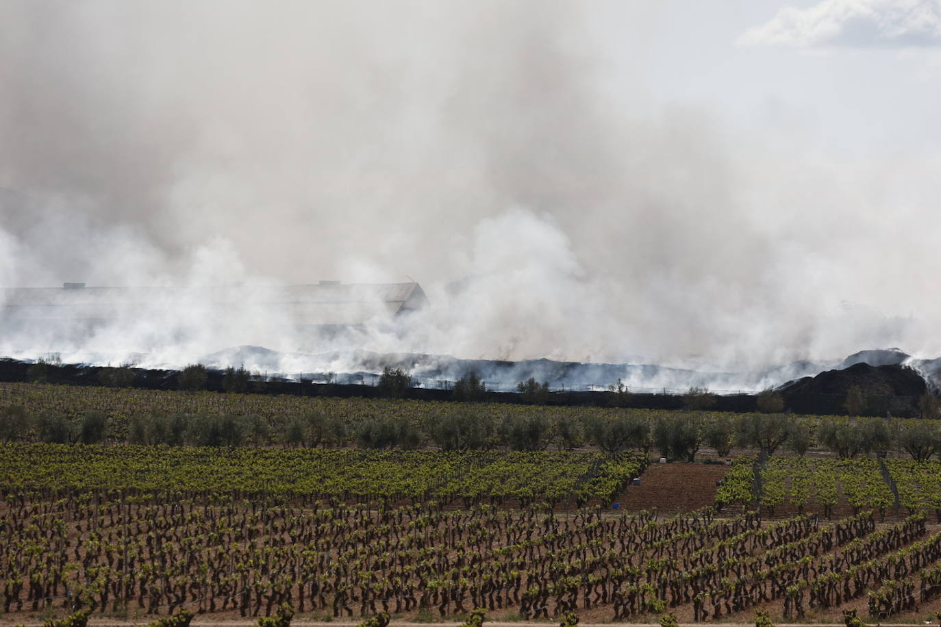 Fotos de Requena, una semana entre el humo