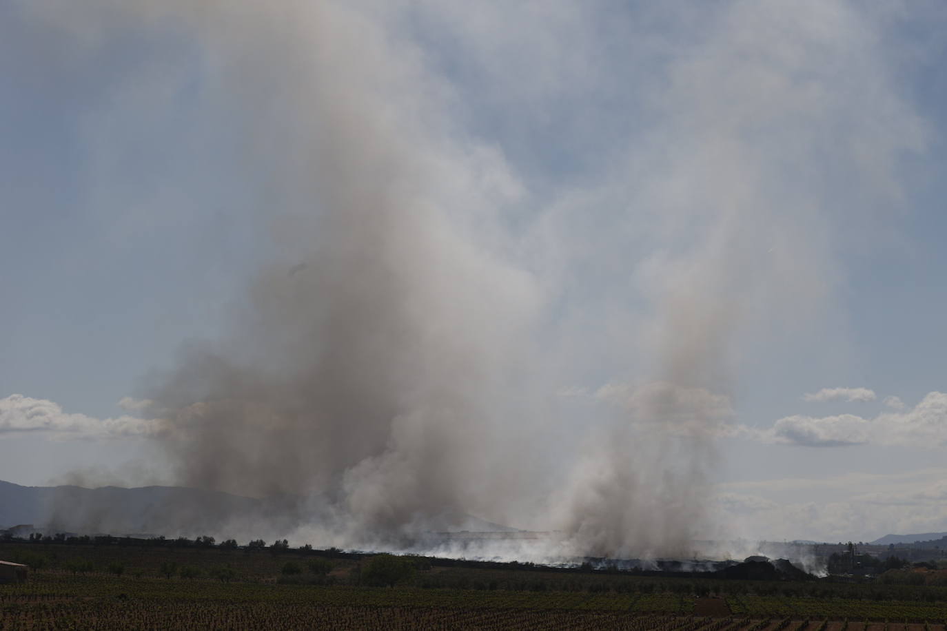 Fotos de Requena, una semana entre el humo