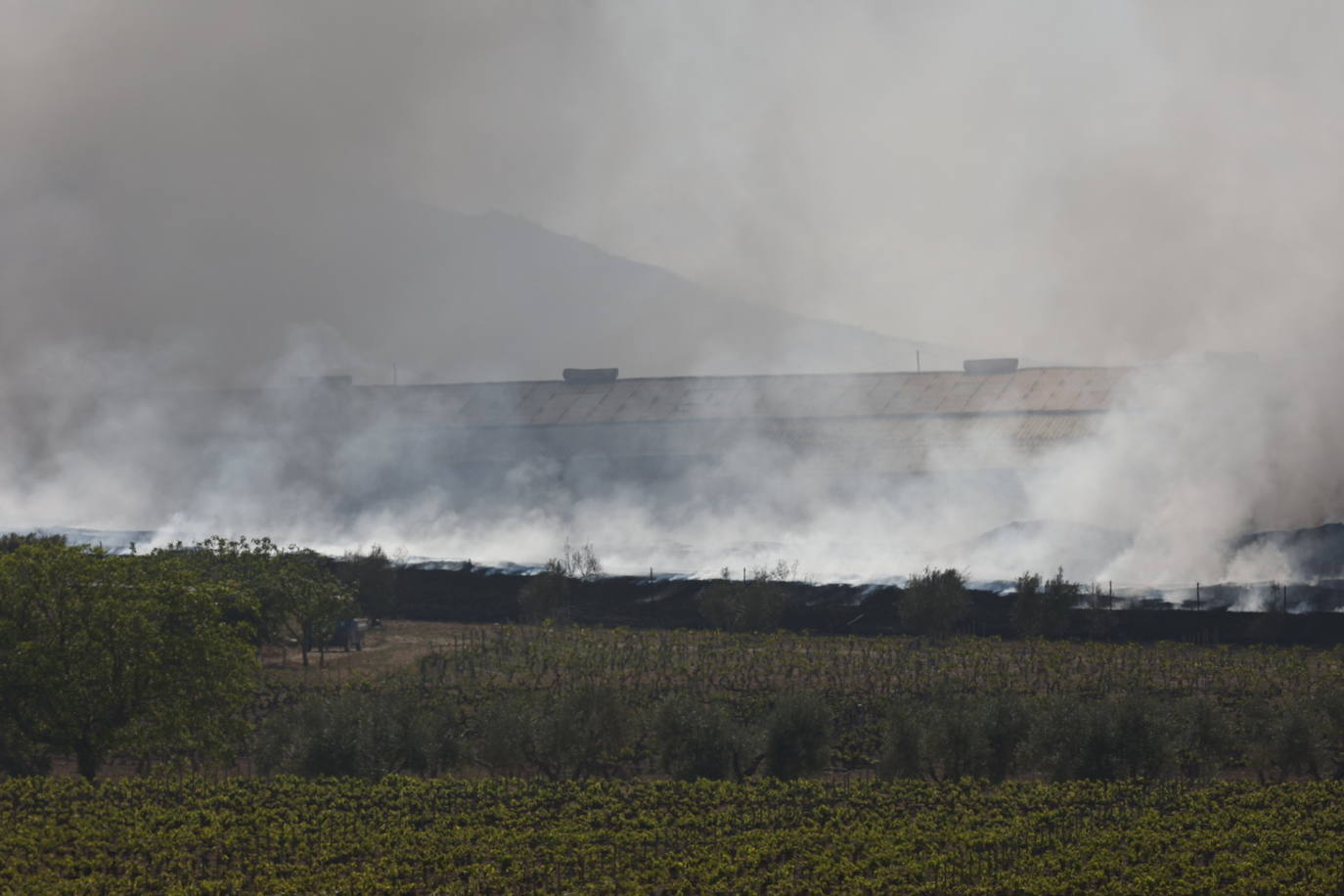 Fotos de Requena, una semana entre el humo