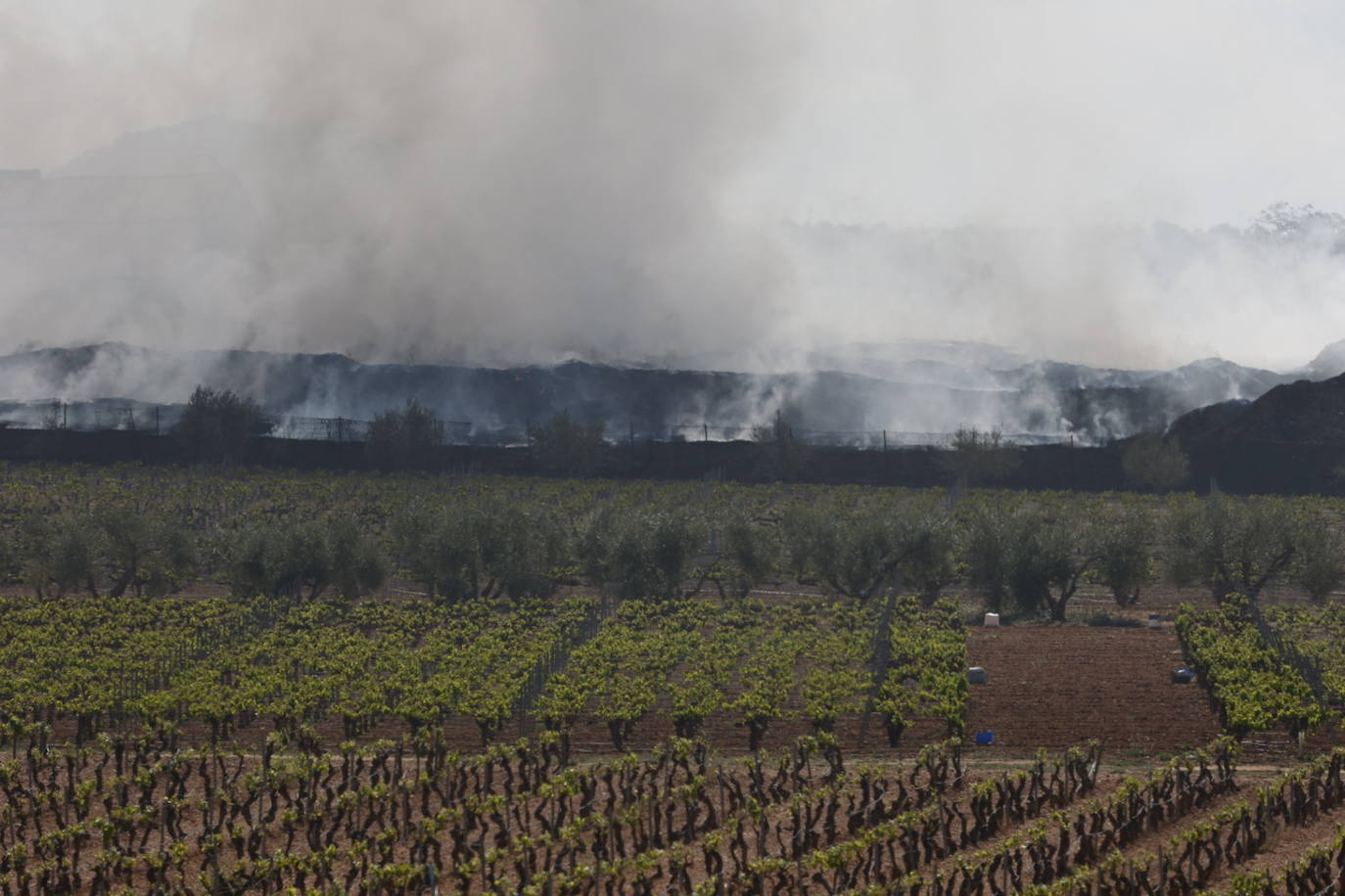 Fotos de Requena, una semana entre el humo