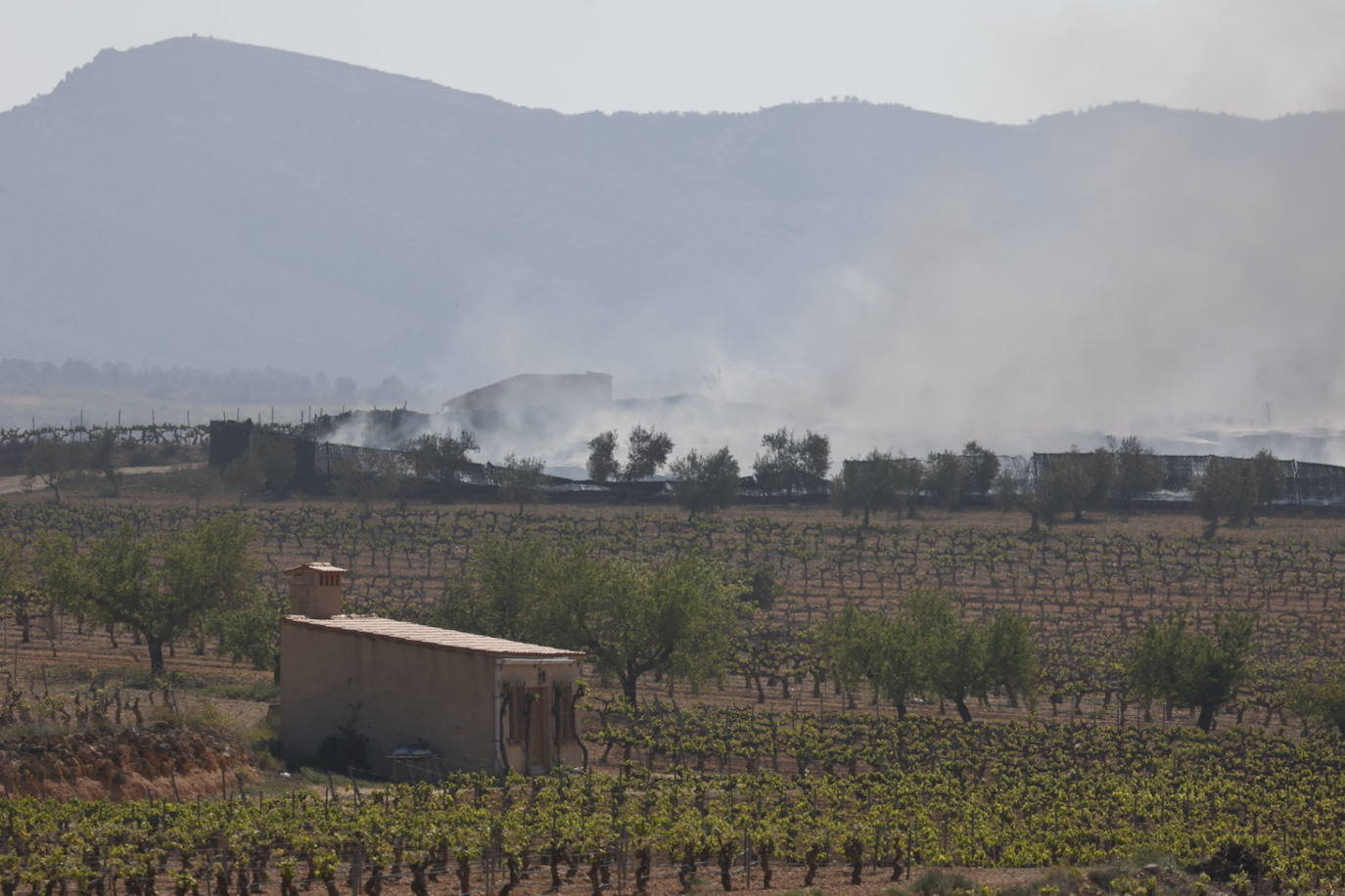 Fotos de Requena, una semana entre el humo