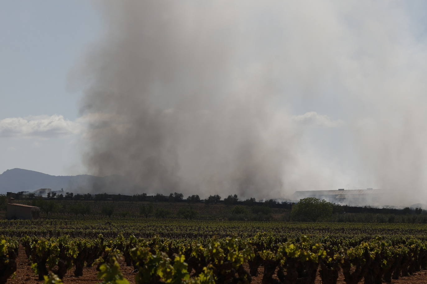 Fotos de Requena, una semana entre el humo