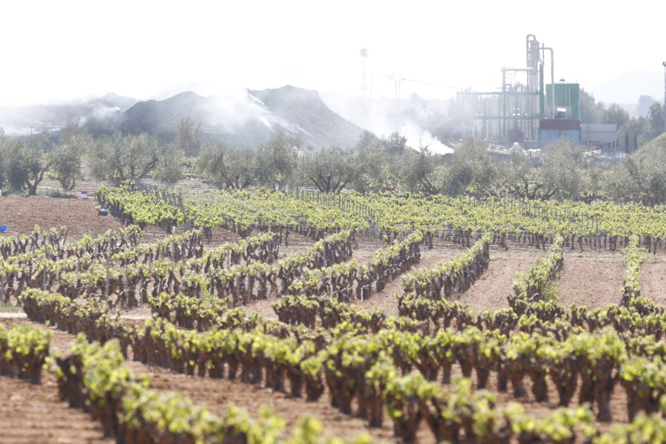 Fotos de Requena, una semana entre el humo