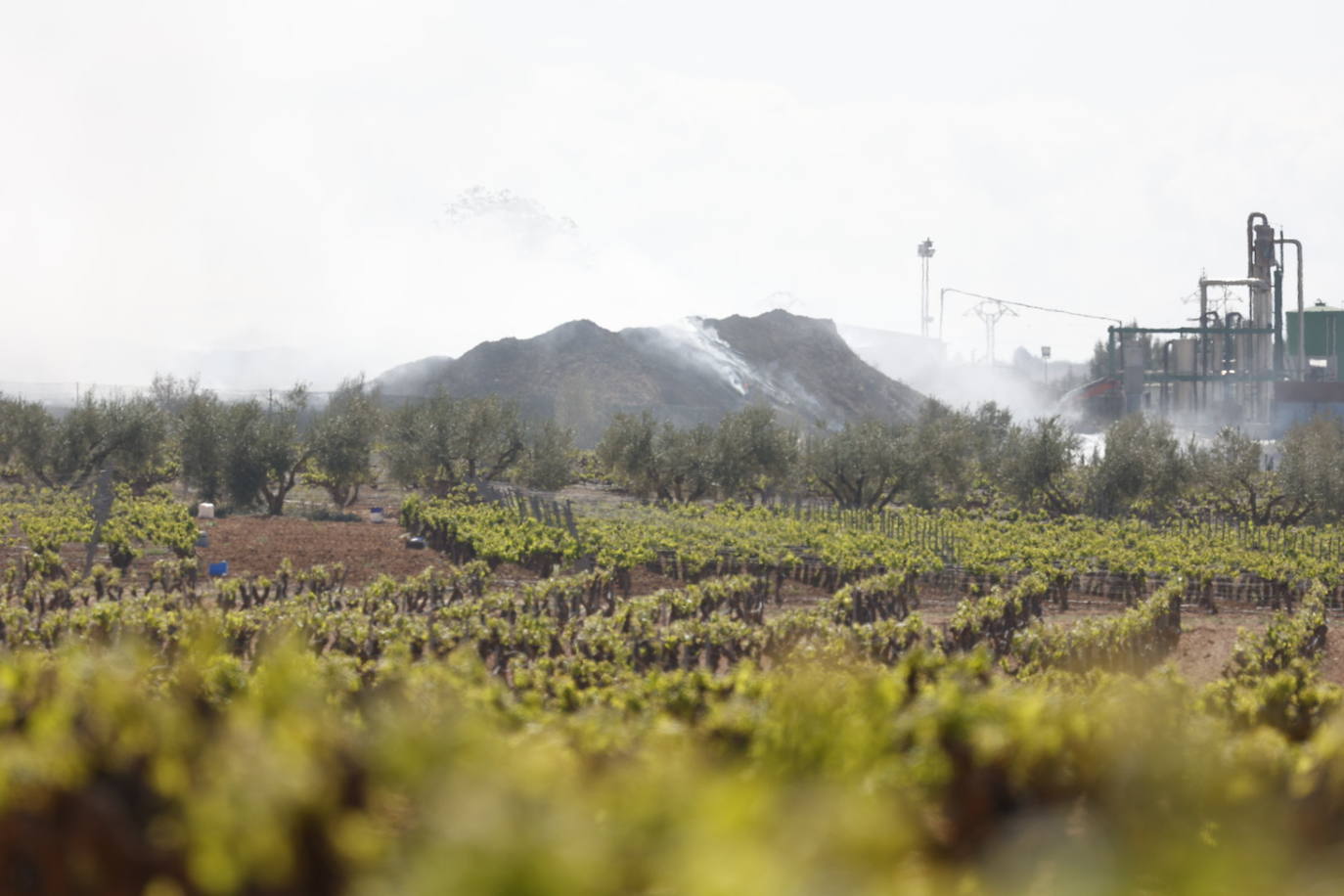 Fotos de Requena, una semana entre el humo