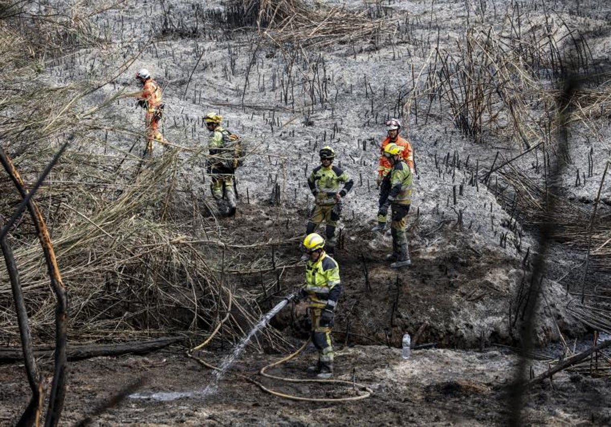 Efectivos de bomberos trabajan en la zona quemada este viernes.