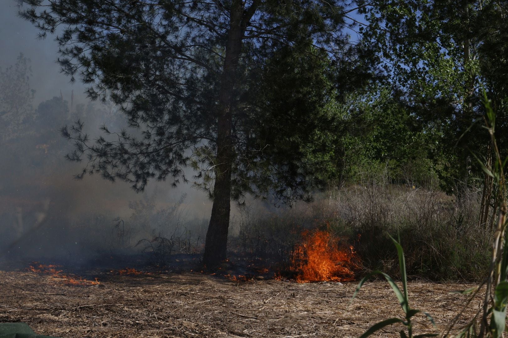 Un incendio amenaza la urbanización Masía de Traver en Riba-roja