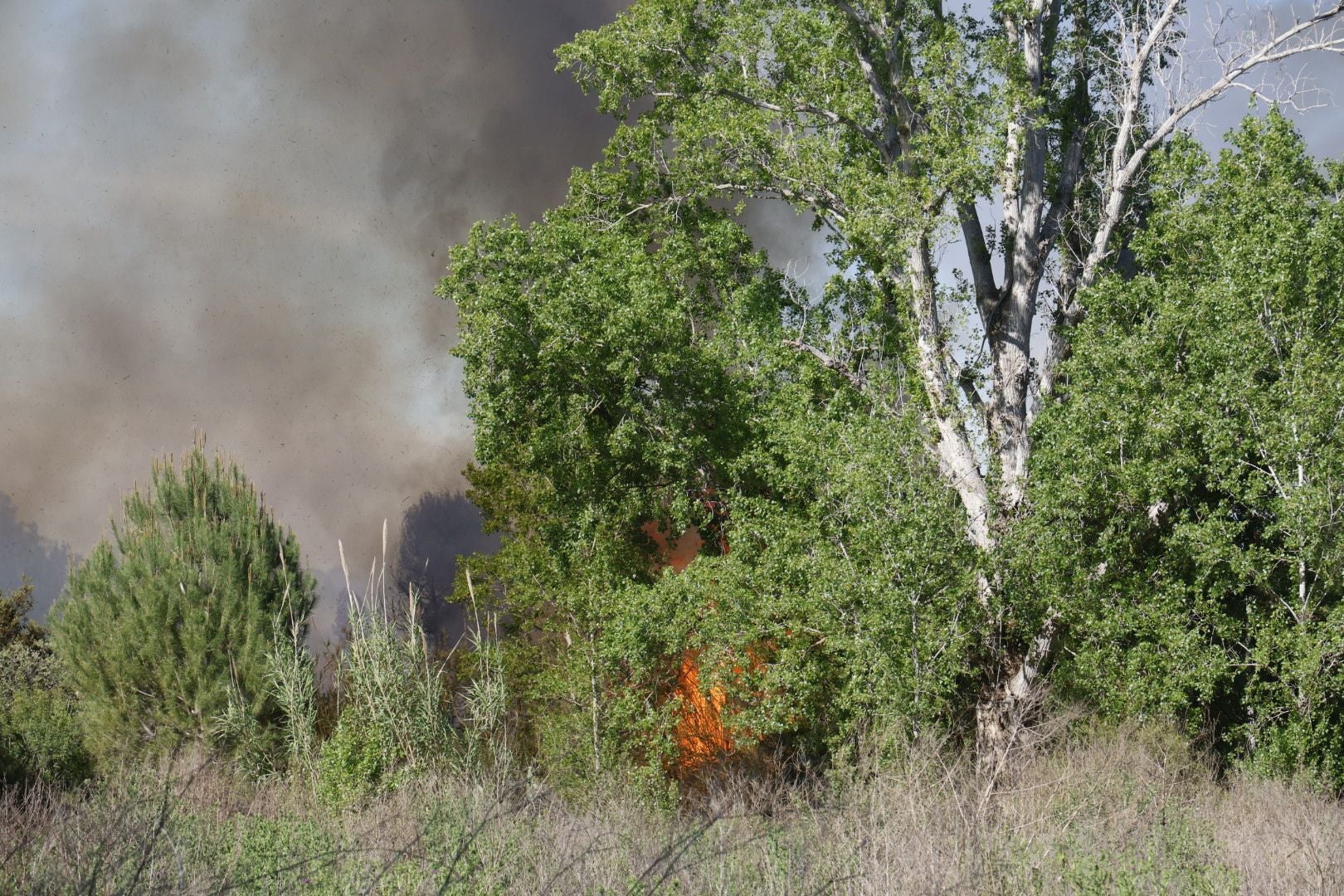 Un incendio amenaza la urbanización Masía de Traver en Riba-roja