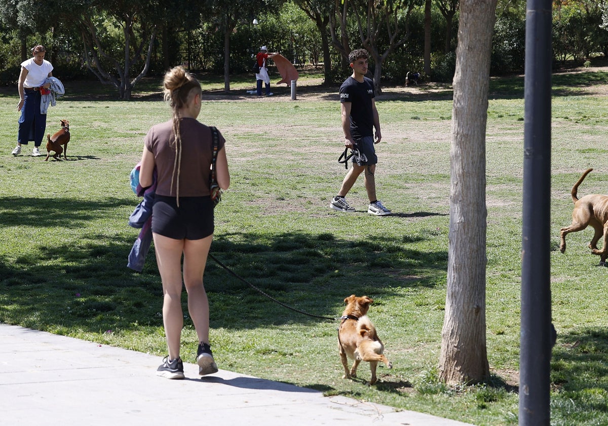 PropIetarios de perros, con sus mascotas, en el Parque Central.