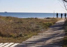 Playa de l' Arbre del Gos