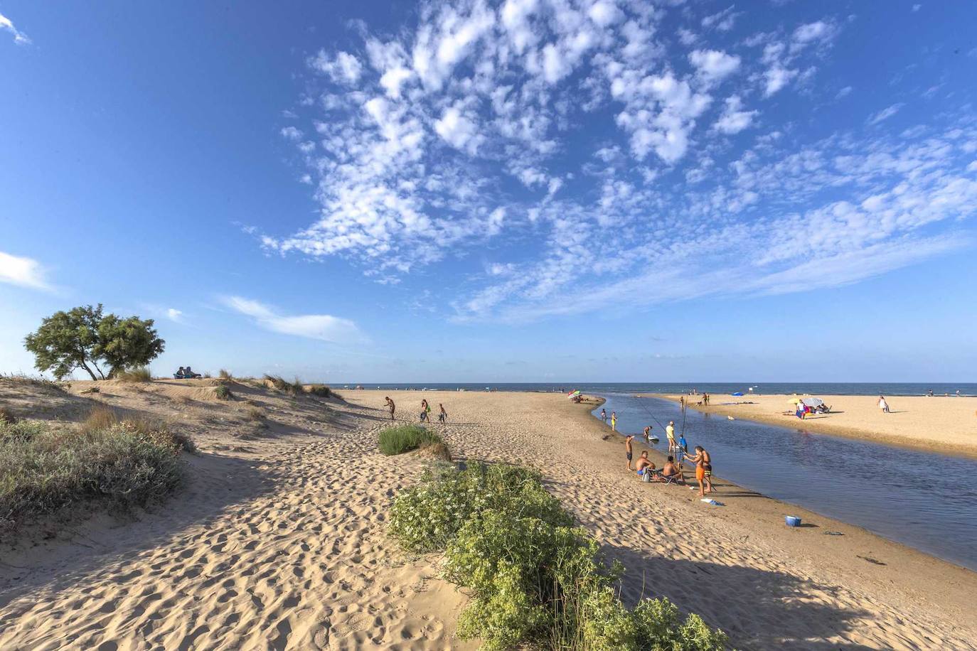 La Comunitat Valenciana lidera las &#039;Banderas Azules&#039; este verano con 159, seis más que en 2023