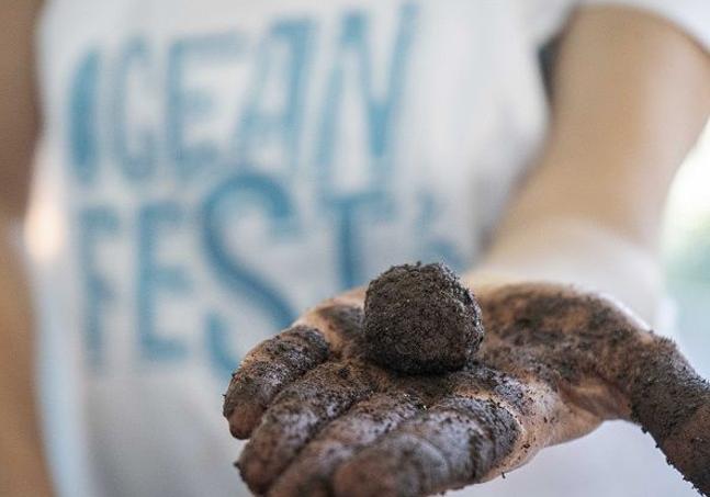 Estas «bombas» se utilizan para propagar las semillas de las plantas sin una labor previa sobre el suelo