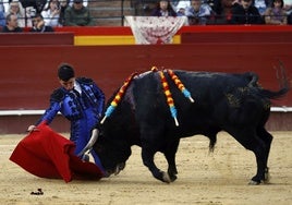 El valenciano Nek Romero.