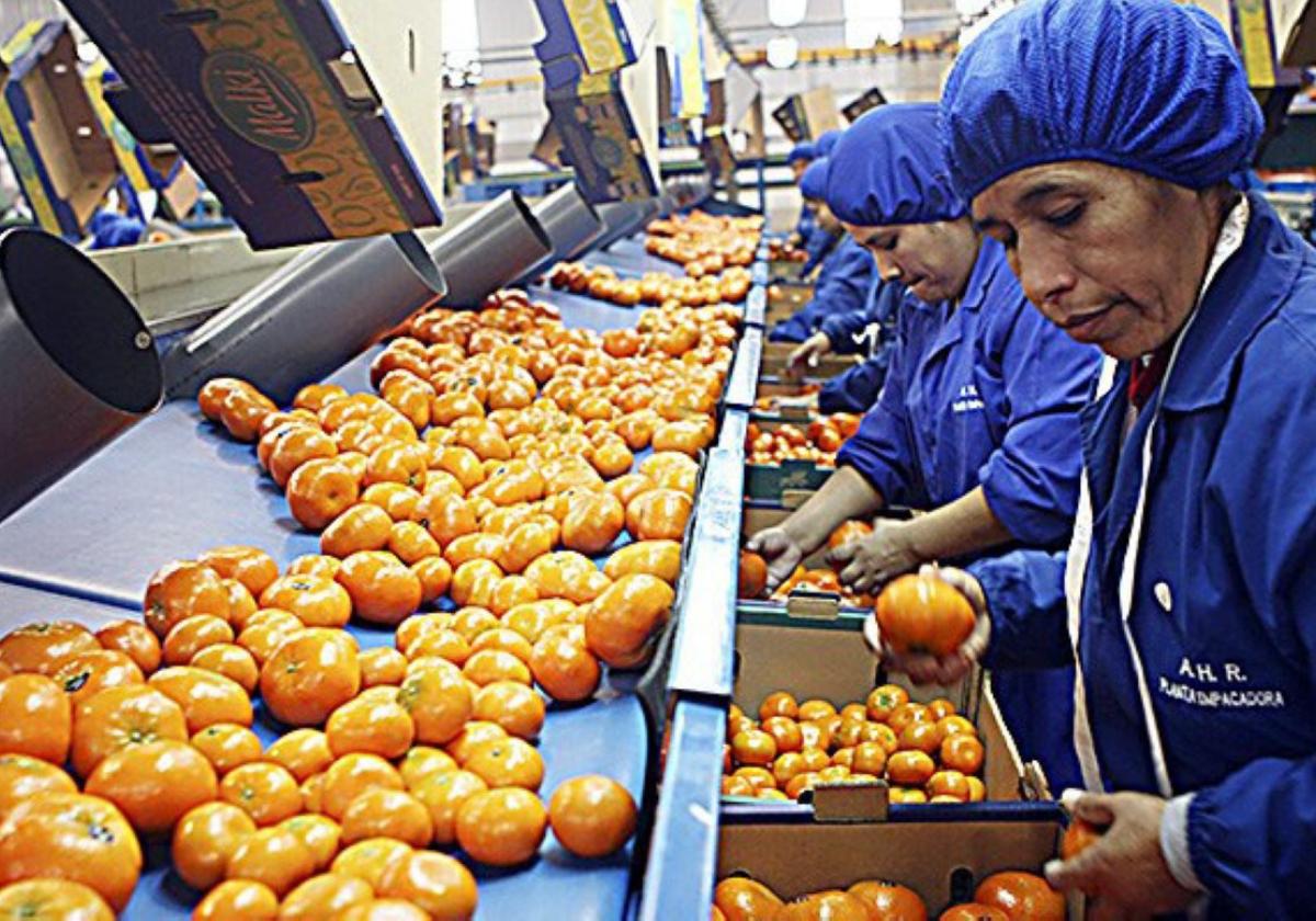 Perú desvía ríos andinos para poder exportar más frutas