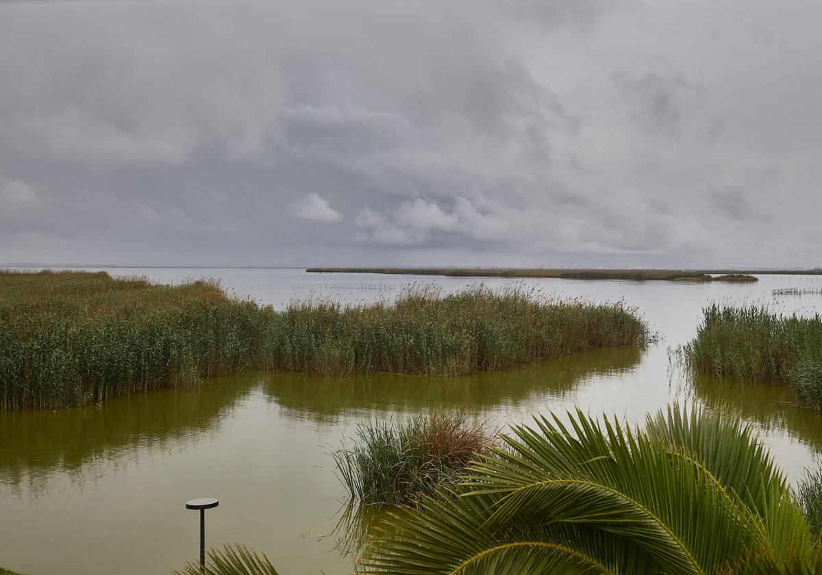 El Gobierno incumple el plazo para enviar 20 hectómetros cúbicos de agua a la Albufera