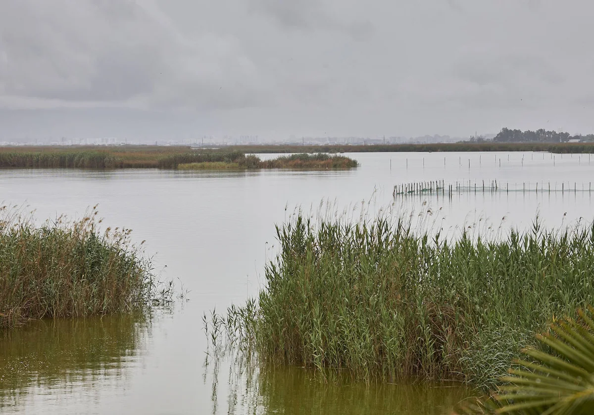 El Gobierno recurre a agua que se queda en los campos o va al mar para defender que cumple con las aportaciones a la Albufera