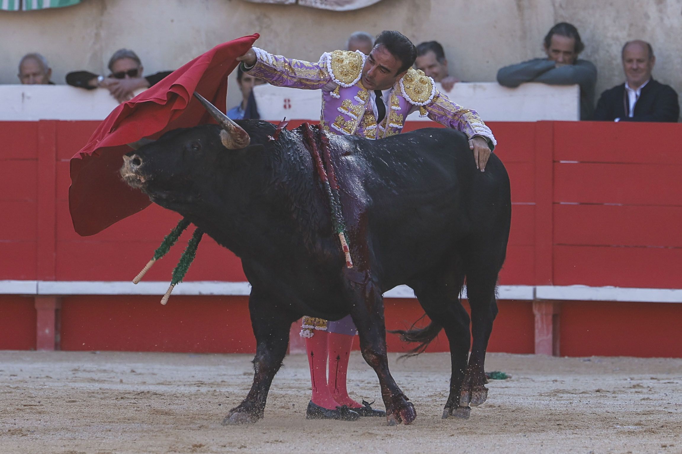 Enrique Ponce, en la Feria de Pentecostés 2024 de Nimes