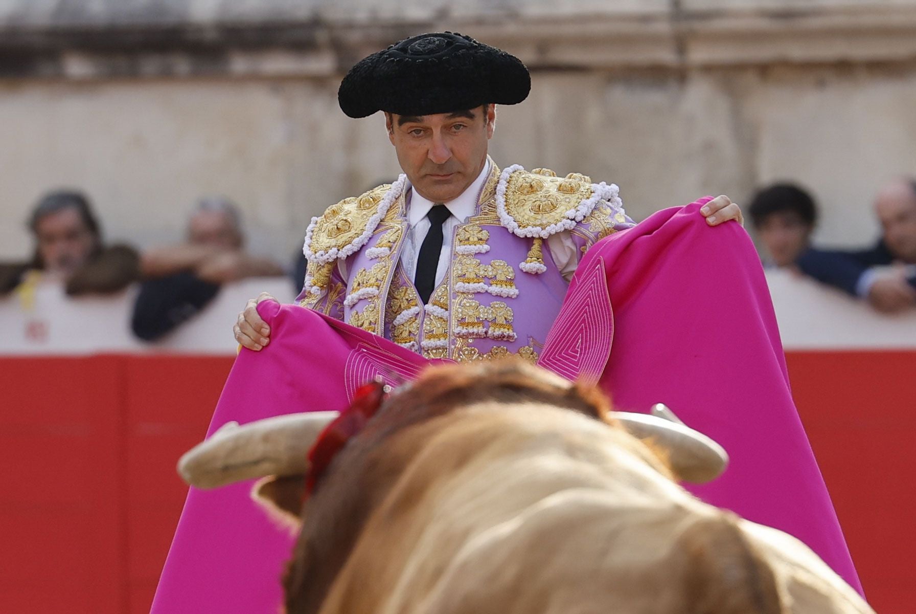 Enrique Ponce, en la Feria de Pentecostés 2024 de Nimes