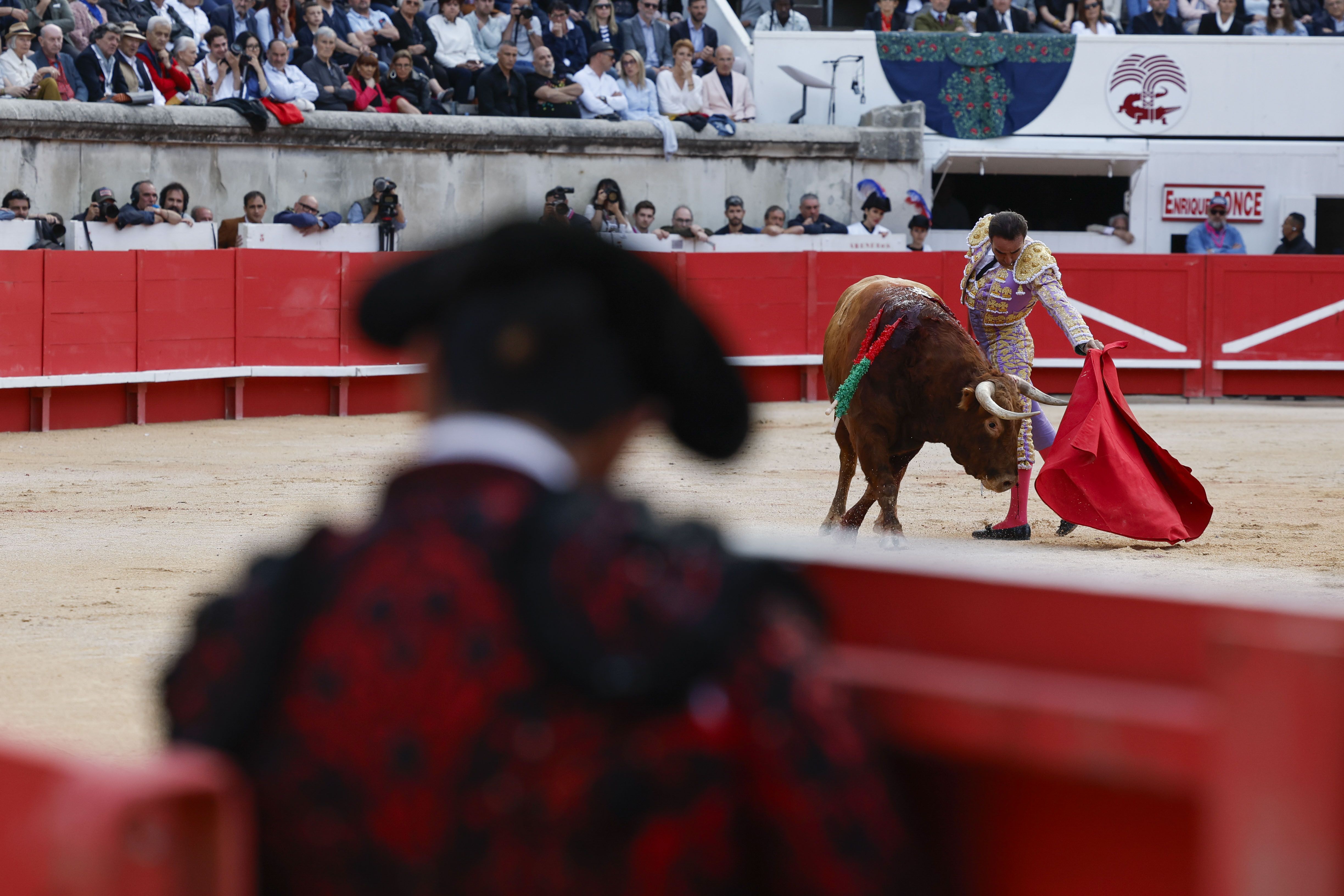 Enrique Ponce, en la Feria de Pentecostés 2024 de Nimes