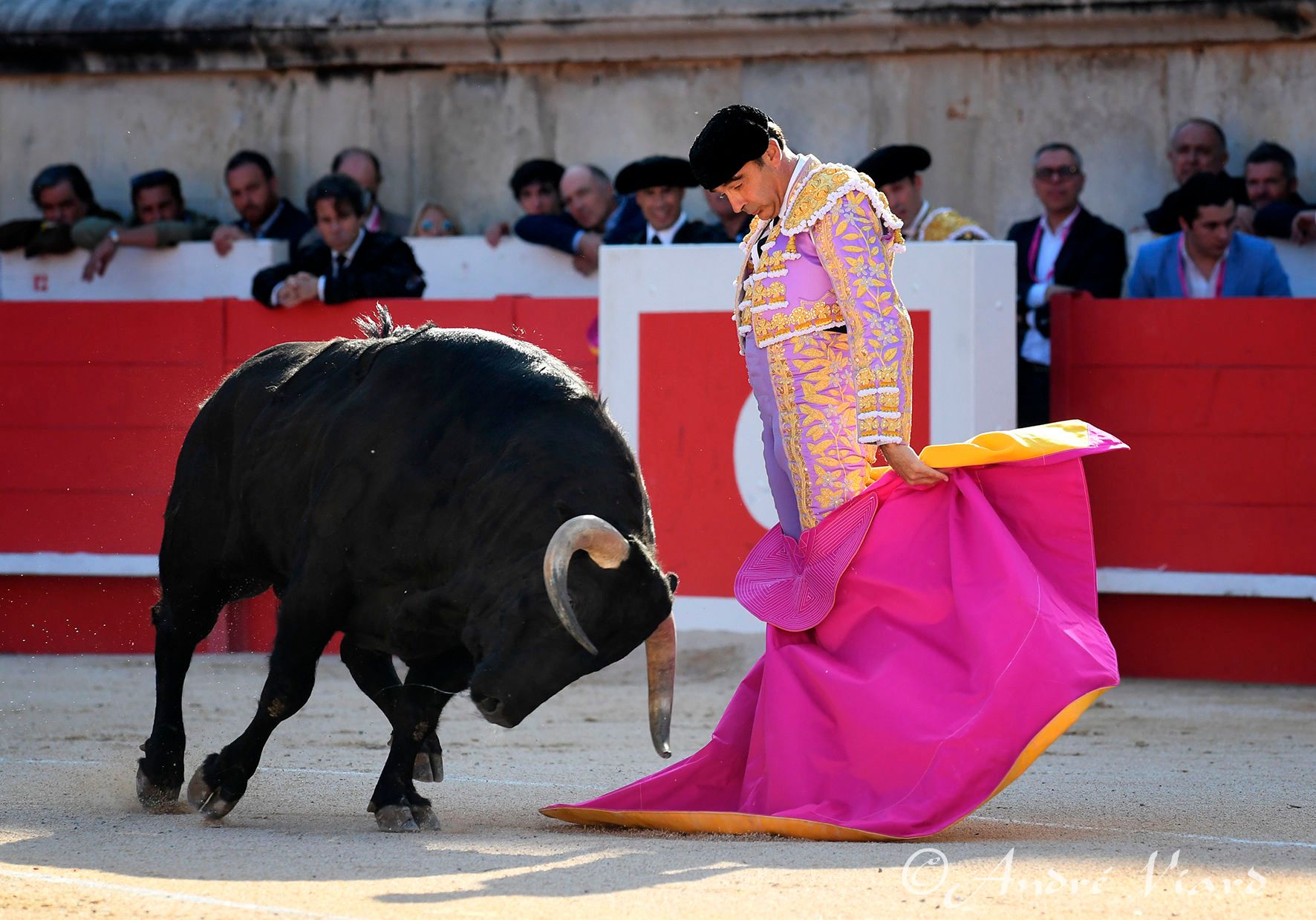 Enrique Ponce, en la Feria de Pentecostés 2024 de Nimes