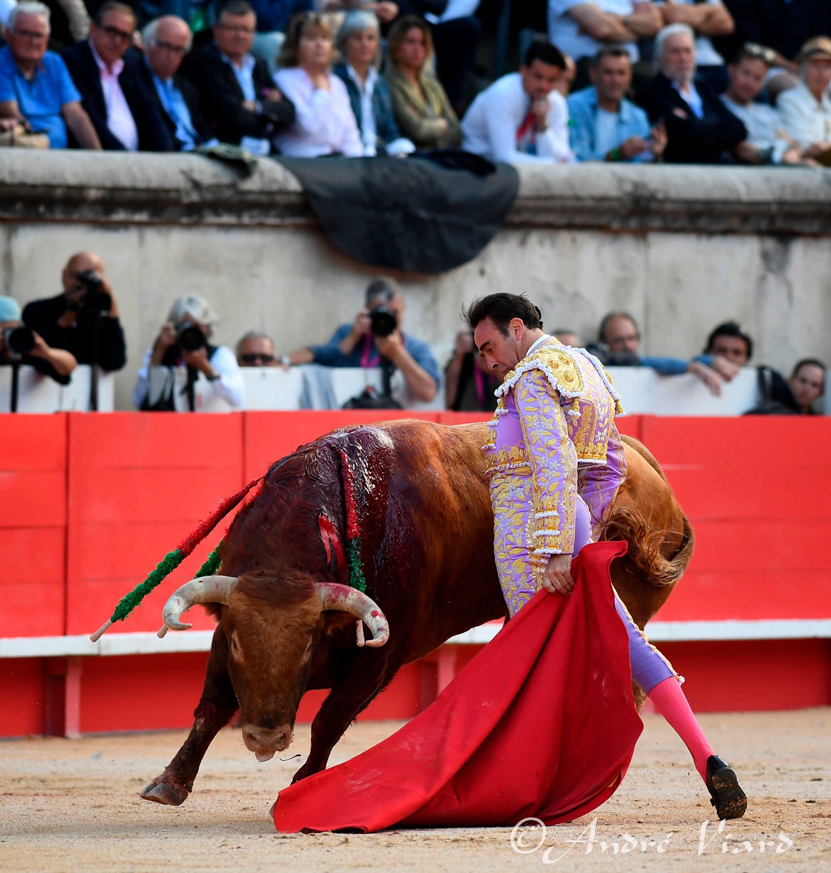 Enrique Ponce, en la Feria de Pentecostés 2024 de Nimes