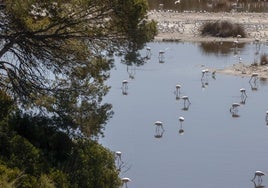 Vista de la Albufera.