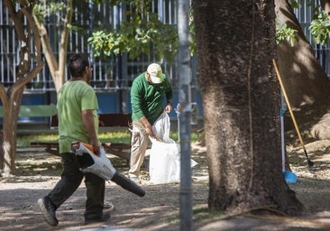 Los restos de la ocupación en la Facultad de Filosofía: daños en el jardín y restos de basura