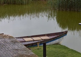 Vista reciente de la Albufera.