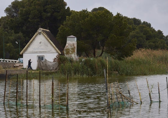 Una imagen de la Albufera.