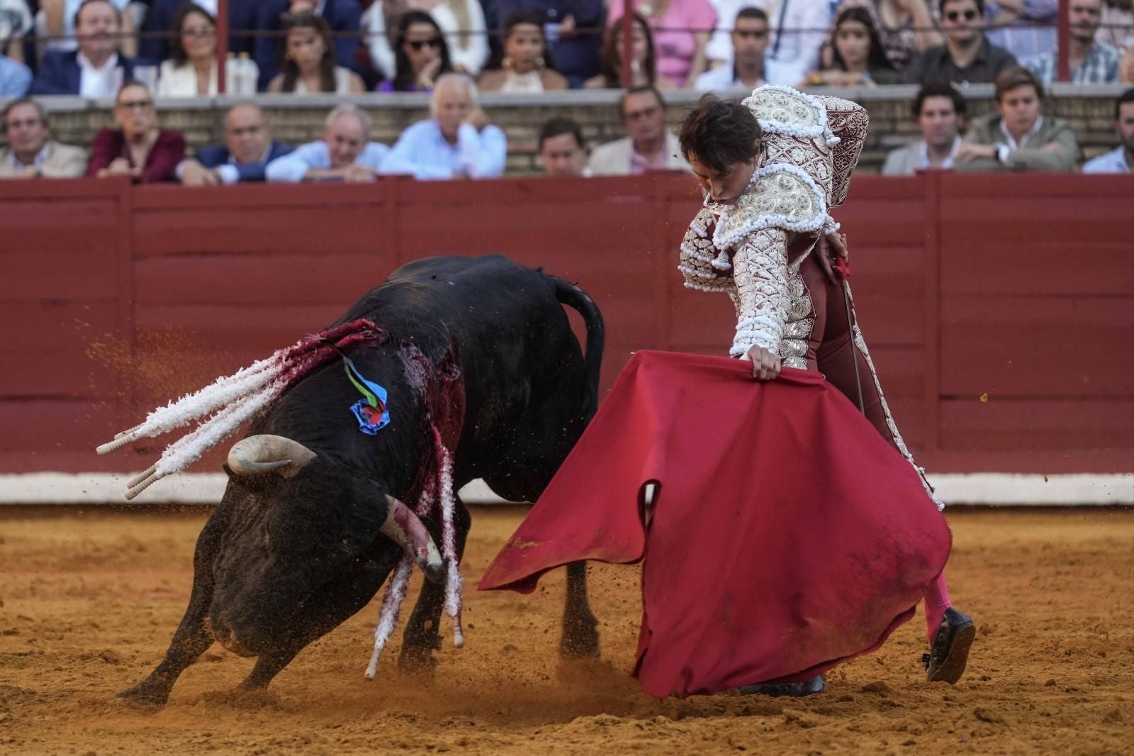 Roca Rey, el pasado domingo en el Coso de Los Califas de Córdoba.