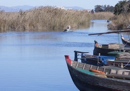 LAS PROVINCIAS impulsa la campaña por la defensa de la Albufera.