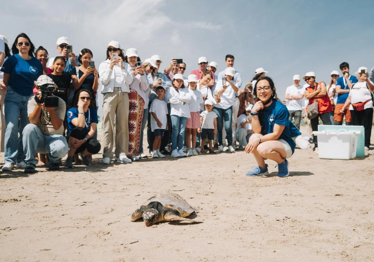 Devuelven al mar en el Puerto de Sagunto a una tortuga capturada por pesca por arrastre